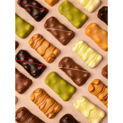 Oursons Guimauve assortis